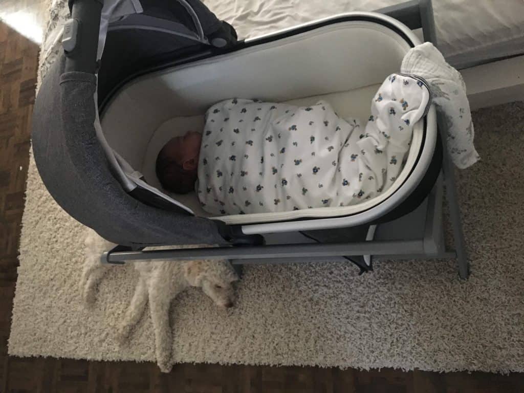 uppababy bassinet used