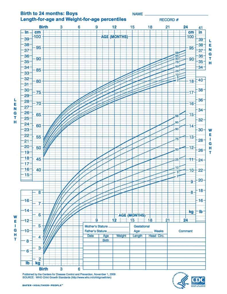 Halo bassinest 2024 length limit