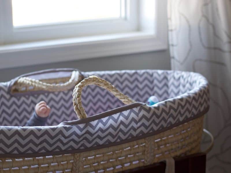 What is a Moses Basket (1)