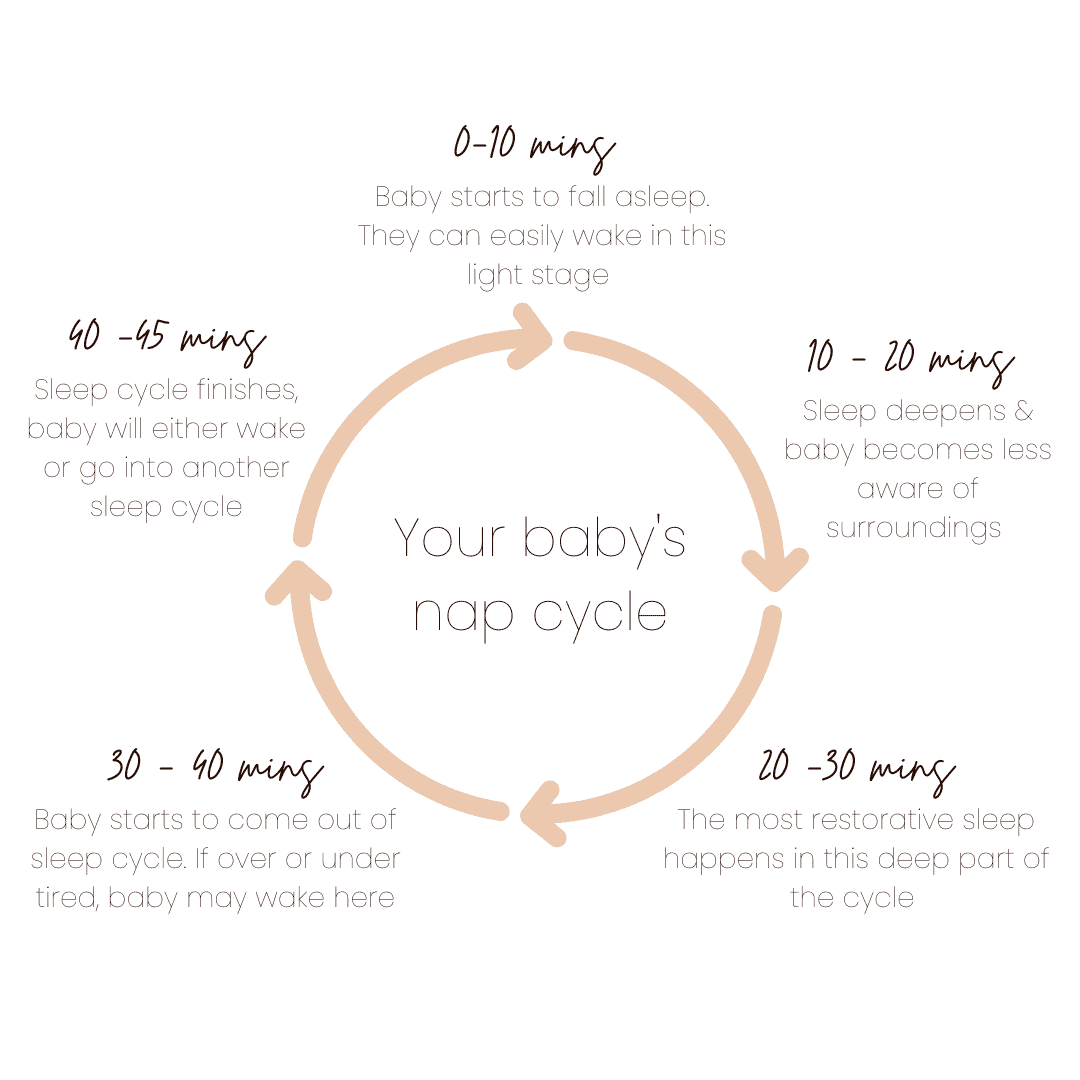 Your Baby's Sleep Cycle