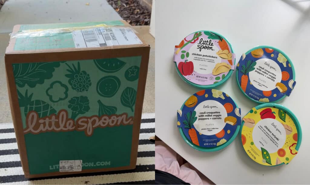 Little Spoon Plates Review