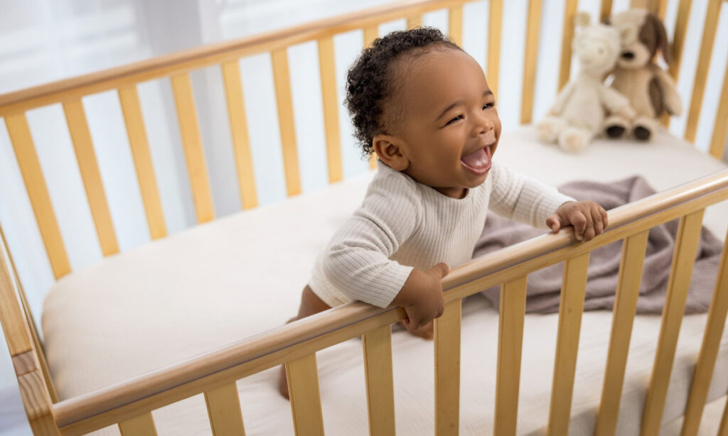 Newton Crib Mattress Alternative